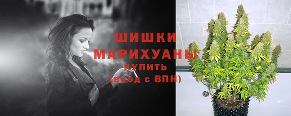 не бодяженный Белокуриха