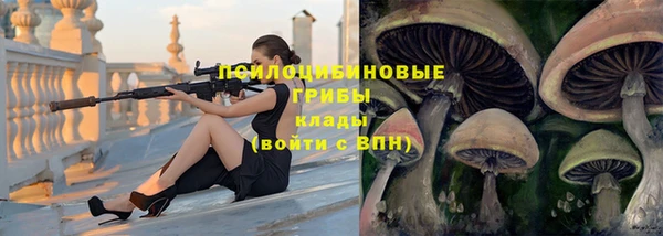 spice Белоозёрский
