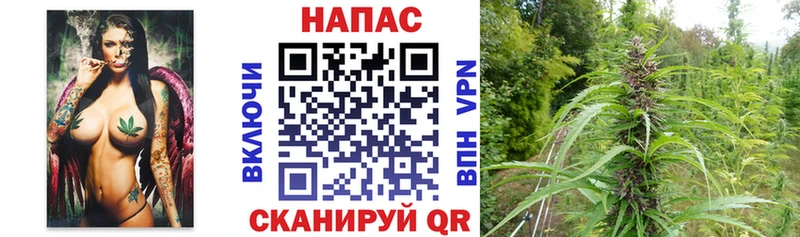 Канабис AK-47  даркнет сайт  Курган 